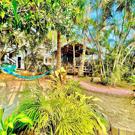 فندق El Eden Escondido بويرتو إسكونديدو المظهر الخارجي الصورة